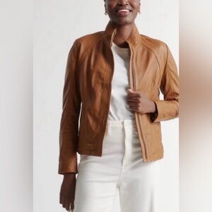 NWT Quince Leather Stand Collar Jacket Cognac Large